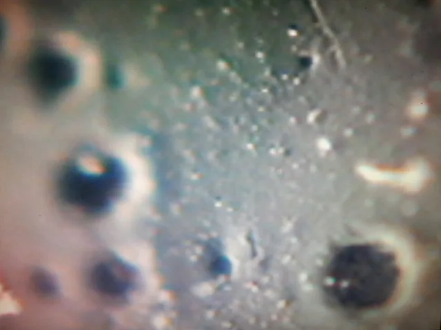Crier, detail