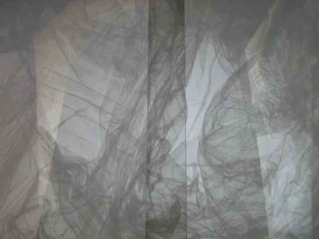 Instruo, detail